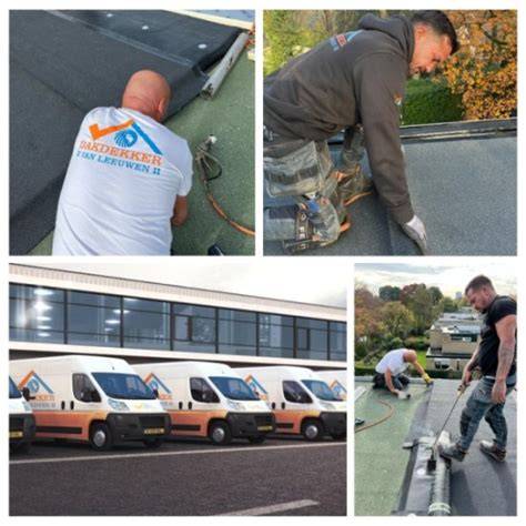 Infographic: Stappenplan gratis dakinspectie en offerte