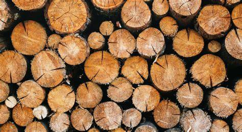 Infographic: Droog hout vs nat hout; vochtgehalte en verbrandingsefficiëntie