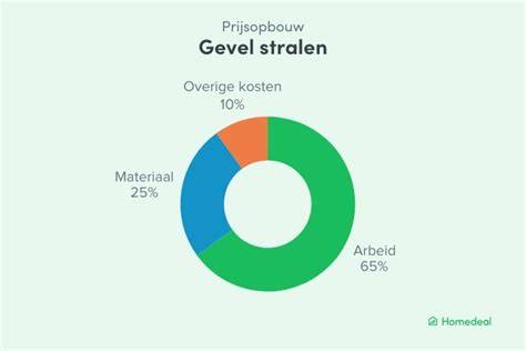 Infographic: factoren die gevelkosten beïnvloeden (type gevel, staat voegwerk, bereikbaarheid, afwerkingsniveau)
