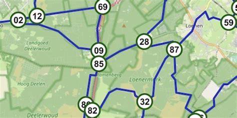 Overzicht van dakleer met overlappen, knooppunten en nagelpunten