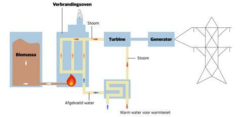Infographic: Werking van houtrotimpregneer
