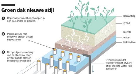 Infografiek: Voordelen van groen dak in Helmond (wateropvang, warmte verkoeling, biodiversiteit)