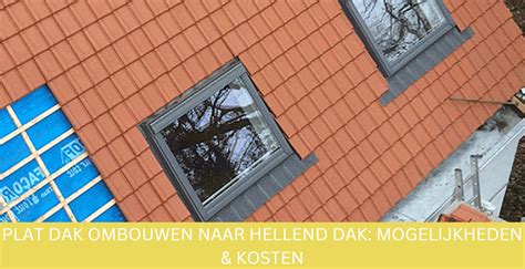 Schema: Kostenverdeling plat dak vs hellend dak