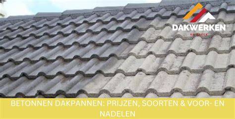 Grafiek: Prijzen per dakgrootte en type dak (richtprijzen)