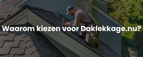 Infographic: stappen bij daklekkage en spoedreparatie