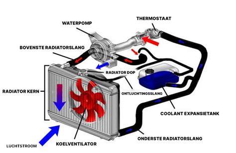 Visualisatie van een radiator met belangrijke onderdelen (koppelingen, ontluchter, radiatorkraan) en plekken waar lekkage vaak voorkomt