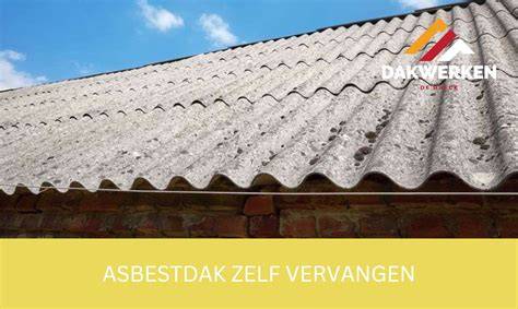 Infographic: overzicht stappenplan asbestdak verwijderen en coaten