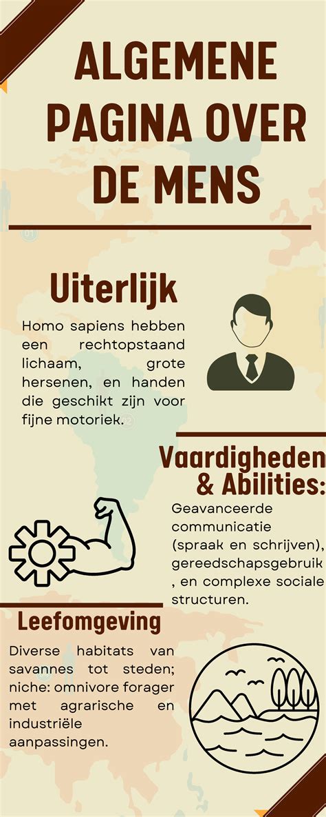 Algemene behangkeuzes overzicht infographic