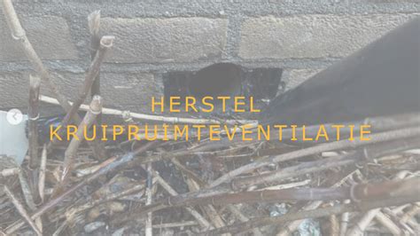 Infographic: werking van kruipruimteventilatie en isolatie