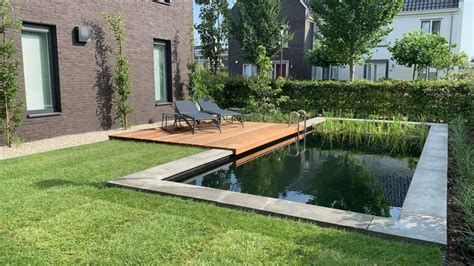 Artistieke impressie van een moderne zwemvijver die naadloos overgaat in de tuin.