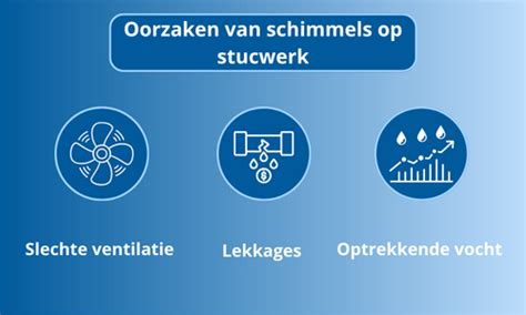 Infographic: oorzaken en oplossingen schimmel op stucwerk