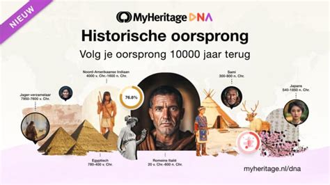 Infografiek: Verschillende ruitpatronen en hun historische oorsprong