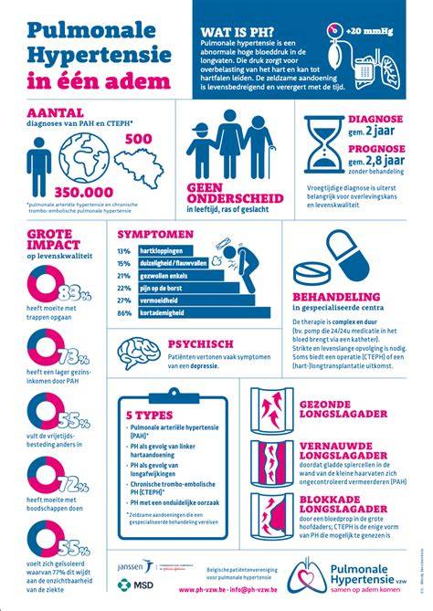 Infografiek: stap-voor-stap glittermuurverf toepassing