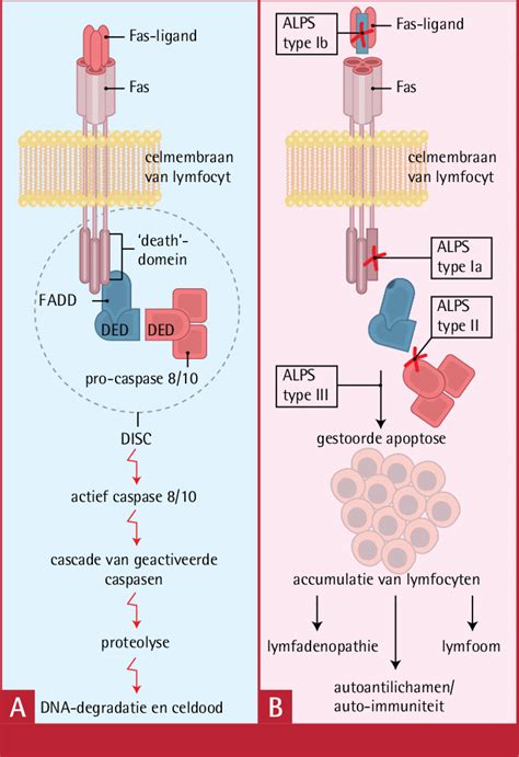 Schematische weergave van het prefab poort productproces, van ontwerp tot plaatsing.