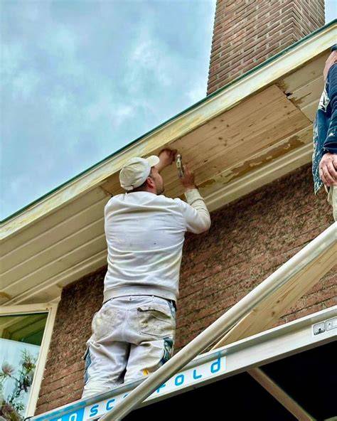 Infographic_overzicht_reparatie_buitenschilderwerk