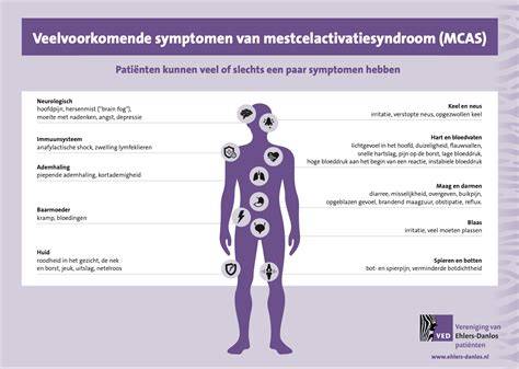 Infographic: veelvoorkomende oorzaken van vlekken in stucwerk
