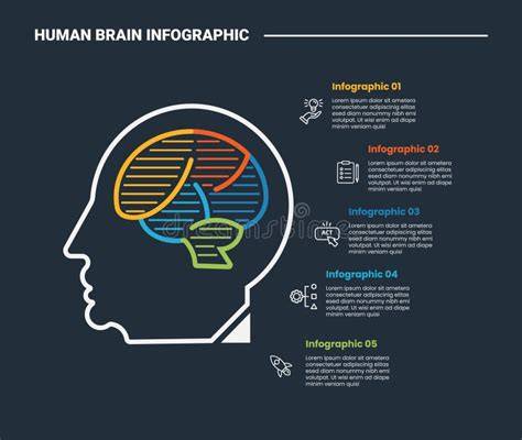 Infographic: Overzichtelijke vergelijking van ondergronden en lijmtypes