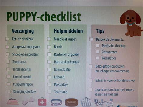 Checklist voor huisdierengezondheidscontrole en omgevingoptimalisatie