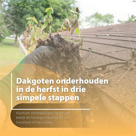 onderhoud-dakgoten-tips