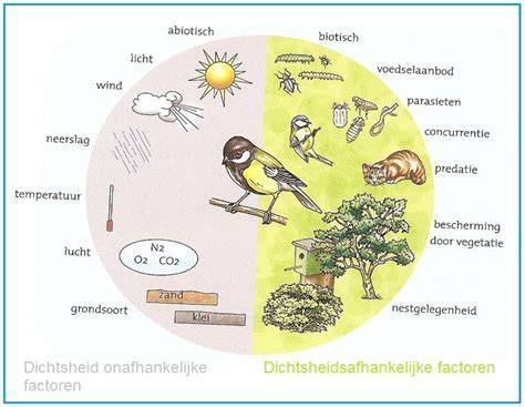 Diagram: droogtijd en factoren