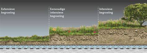 Infographic: Overzicht groene daken extensief vs. intensief, gewicht en wateropname