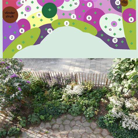 Tipkaart: Borderindeling - vulplanten, structuurplanten en eyecatchers