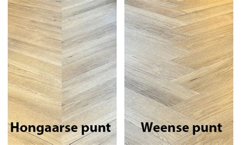 Weense punt vs Hongaarse punt: grafische vergelijking