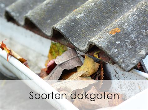 Infographic: soorten dakgoten, materialen en afmetingen