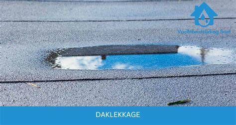 Infographic: Oorzaken van daklekkage en welke onderdelen worden aangetast
