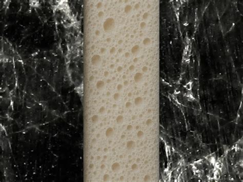 Macro foto van poreuze voegen waar belletjes te zien zijn