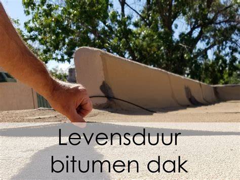 Infographic: Levensduur plat vs. schuin dak en signalen van vernieuwing