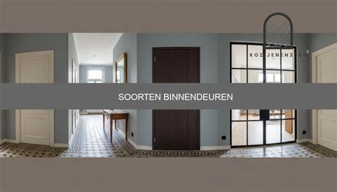 Infographic: Overzicht van soorten binnendeuren, materialen en montage-stappen