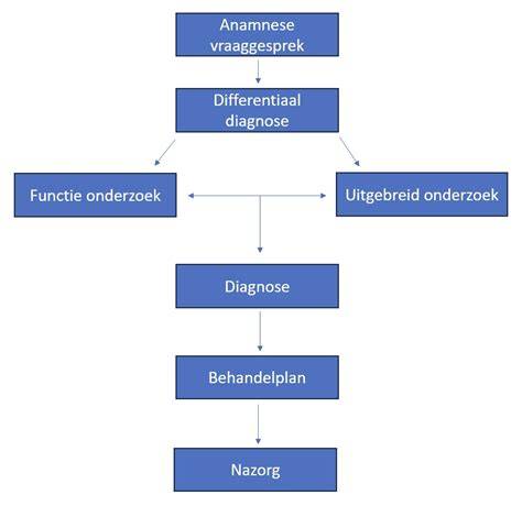 Schema van de werkwijze