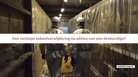 Infographic: routes van asbestverwijdering en risicobeperking