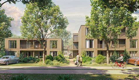 Infographic: planning modulaire houtbouw in Bomenbuurt