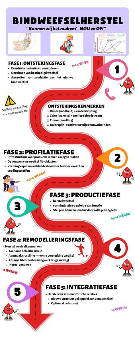 Infographic: Overzicht detectie- en herstelprocessen bij lekkages