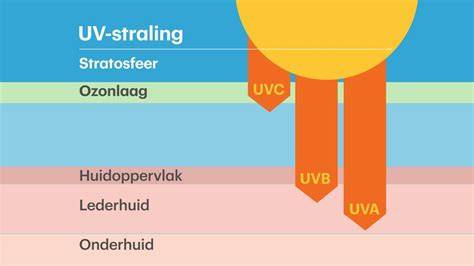 Infographic: Verdeling van zonnestraling door glas (UV 3%, zichtbaar 44%, IR 53%)