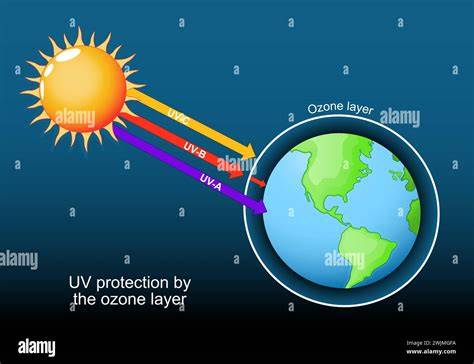 Diagram: Ozonlaag en UV-blootstelling