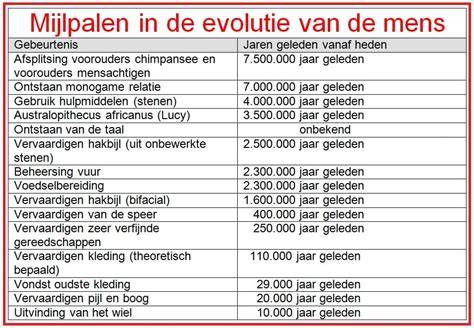Infographic: evolutie van de schouw en rookafvoer door de geschiedenis