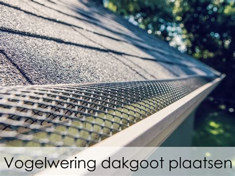 SVG/infographic-dakgoot-installatie