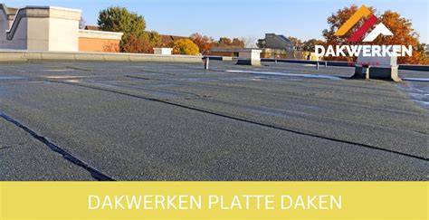 Infographic: Dakafdichting plat dak - materialen en fasen