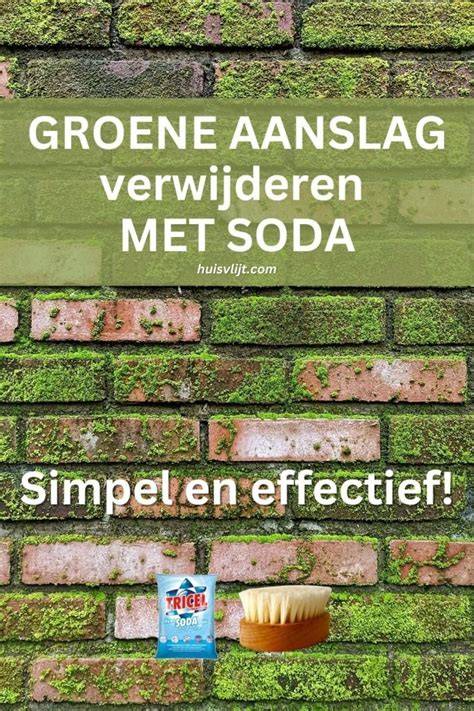 Infographic: stappenplan groene aanslag verwijderen