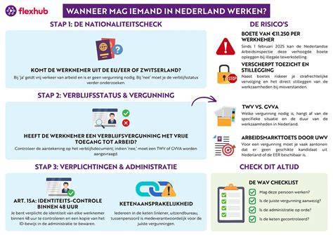 Infographic over uitdiepen en kelderbouw: stappen, risico's, kosten en vergunningen