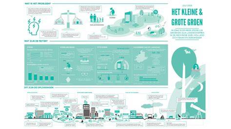 Infographic: Participatieproces bij projecten in Lelystad