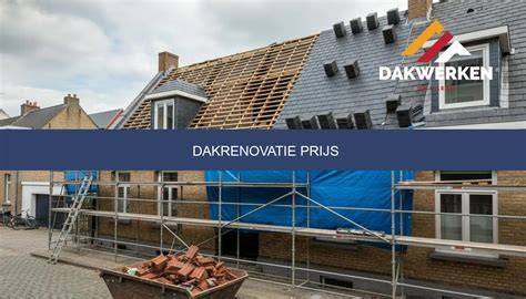 Infographic: Kostenoverzicht dakrenovatie per daktype en materiaal