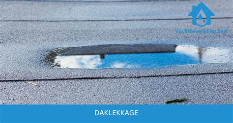 Infographic: Oorzaken van daklekkage en preventietips