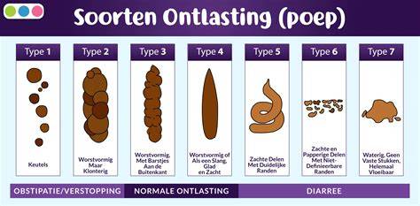 Infografiek oorzaken verstopping: vet, haren/zeep, kalk, vreemde voorwerpen