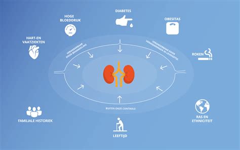 Infographic: Functies van de nieren en tekenen van nierproblemen