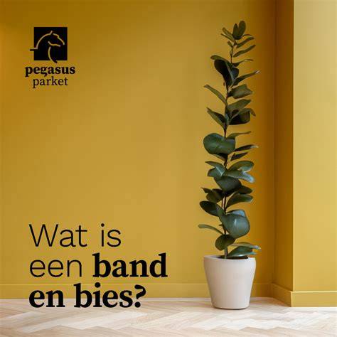 Diagram: Randafwerking opties (plinten, band, bies, stootborden)
