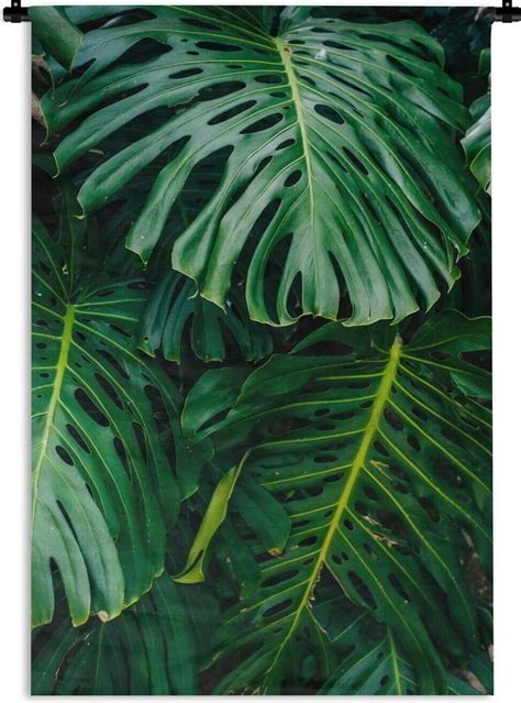Groene bladeren op muur - een botanische sfeer